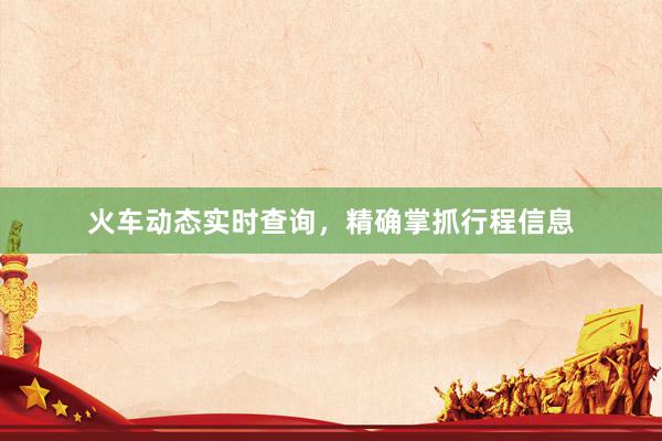 火车动态实时查询，精确掌抓行程信息